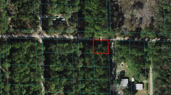 $6,995 | 0 Northeast 137th Place, Citra, FL 32113