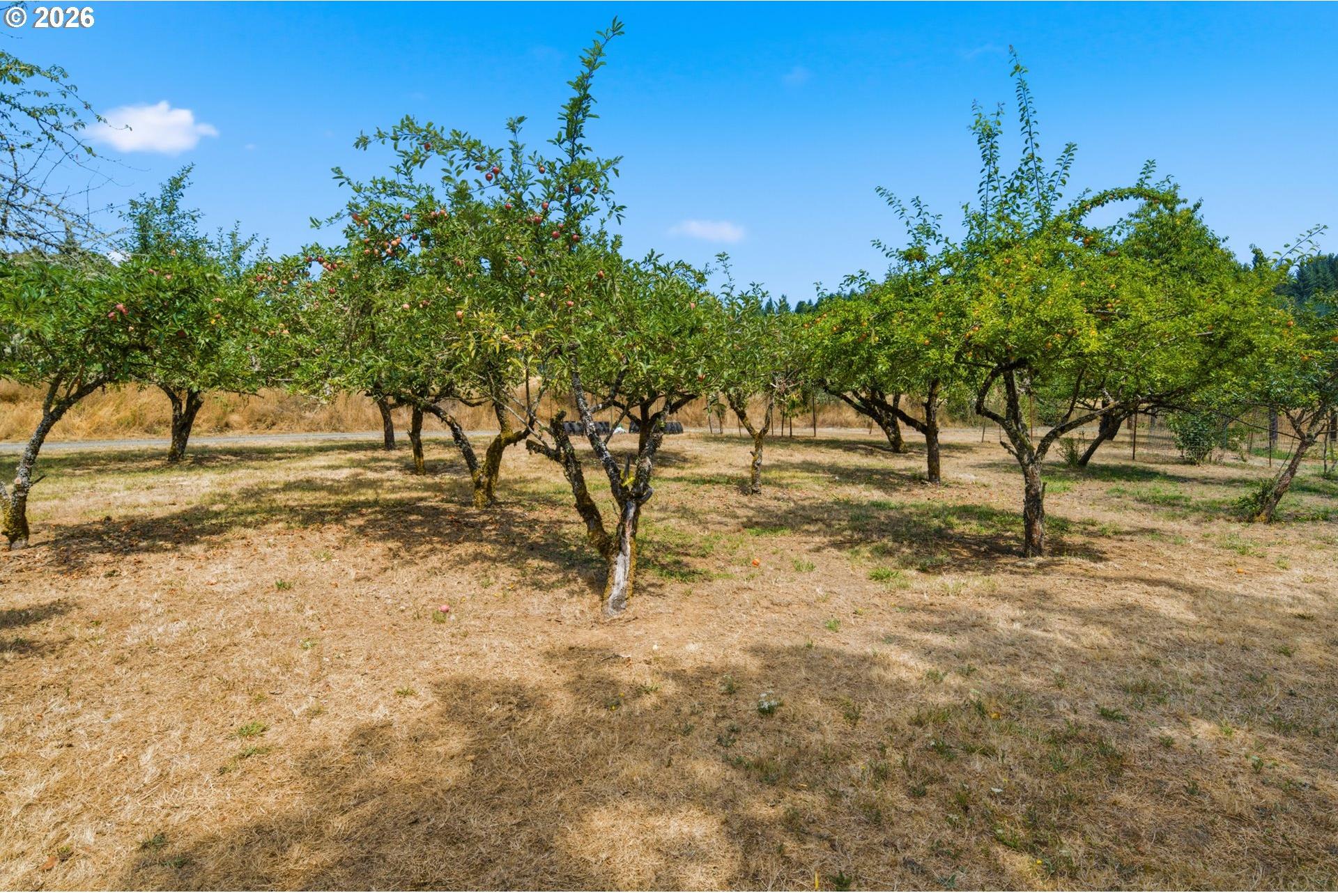 4440 Palmer Road Dallas, OR 97338 - Photo 12 of 48 Gallery Image 12