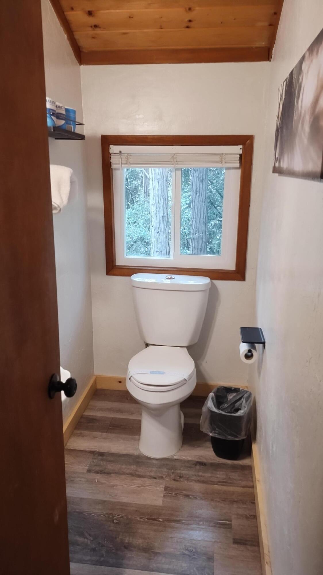1693 Forest Rte 21S94 Camp Nelson, CA 93265 - Photo 50 of 86 a bathroom with a toilet and a window