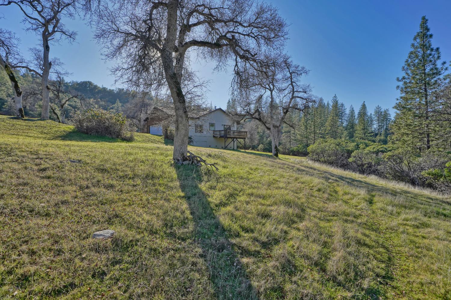 6510 Sly Park Road Placerville, CA 95667 - Photo 4 of 50 a view of a yard with an trees
