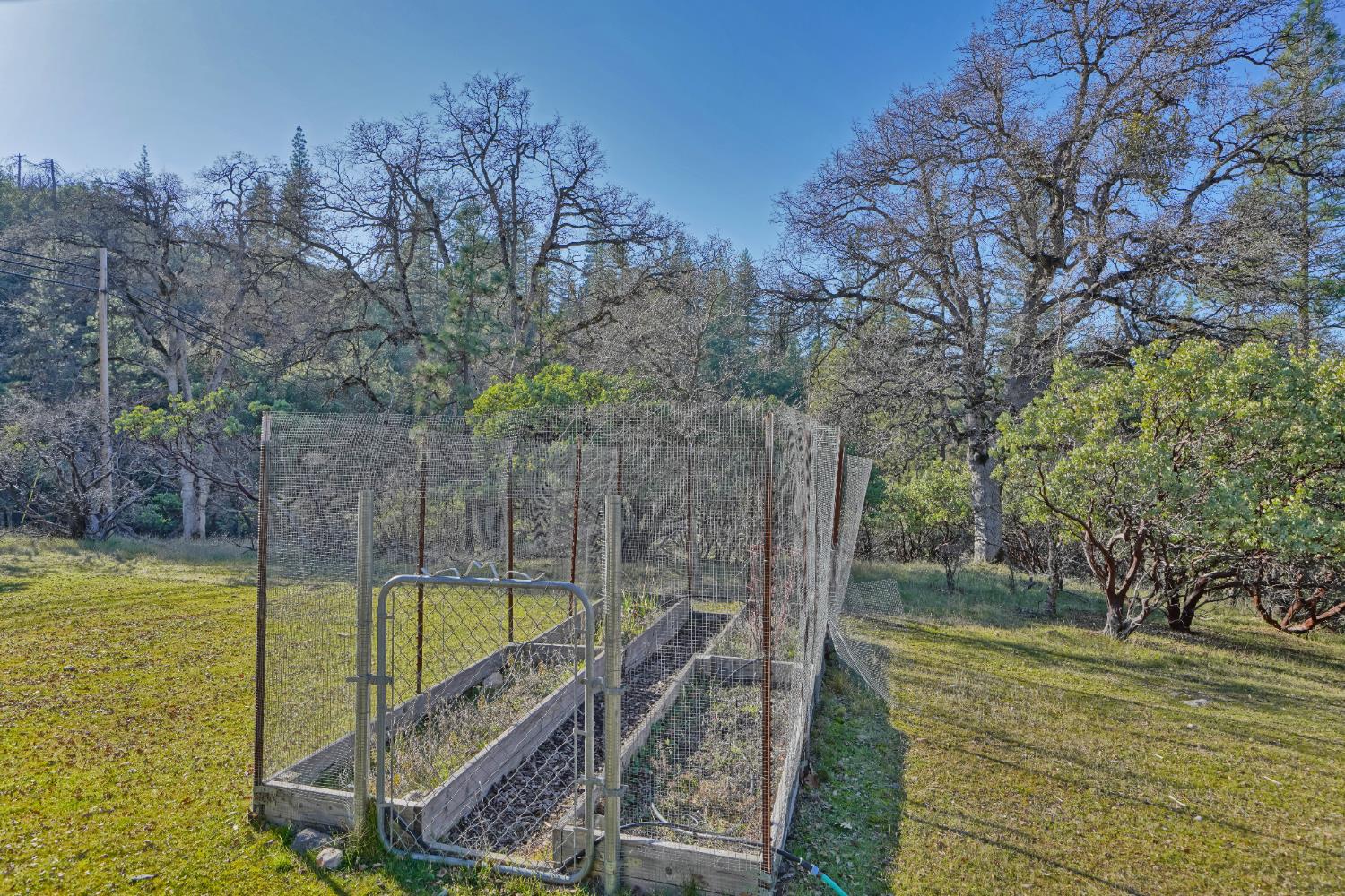 6510 Sly Park Road Placerville, CA 95667 - Photo 43 of 50 a view of a backyard