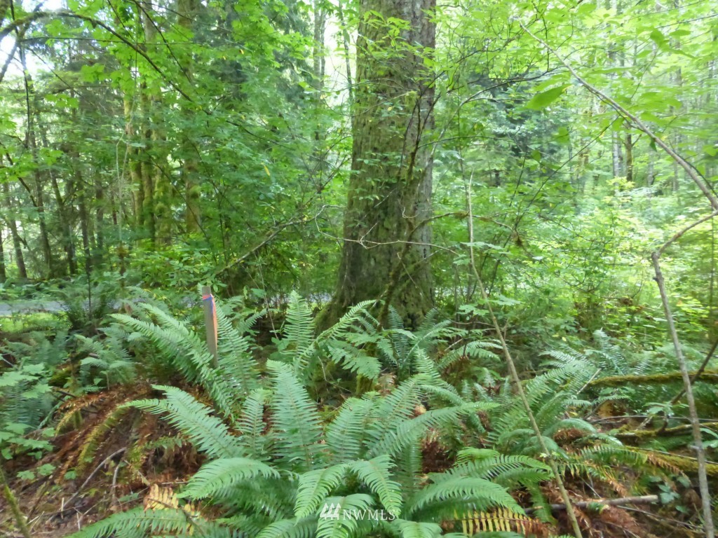 681 Old Samish Road Bellingham, WA 98229 - Photo 24 of 25 Gallery Image 24
