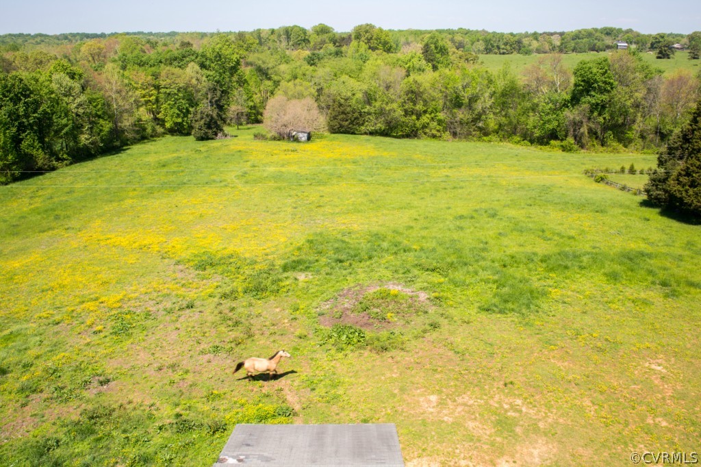 1590 Cardwell Road Crozier, VA 23039 - Photo 17 of 24