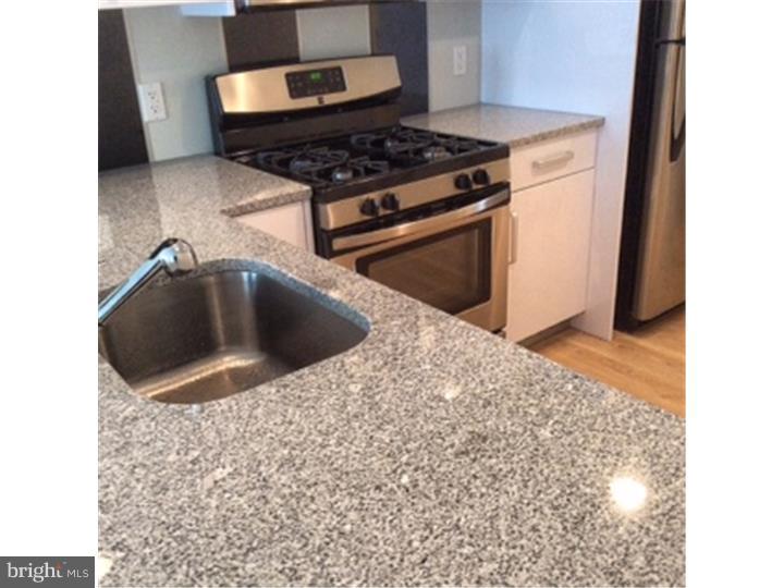 800 North 48th Street, Unit 53 Philadelphia, PA 19139 - Photo 4 of 15 a kitchen with granite countertop a stove and a sink