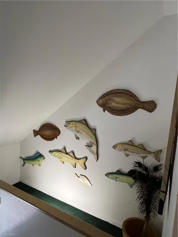 a close view of shoes stand in a kitchen