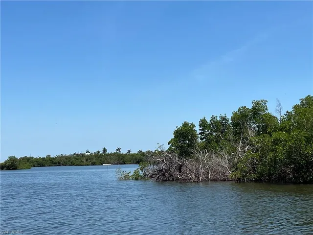 a view of a lake with houses in the back