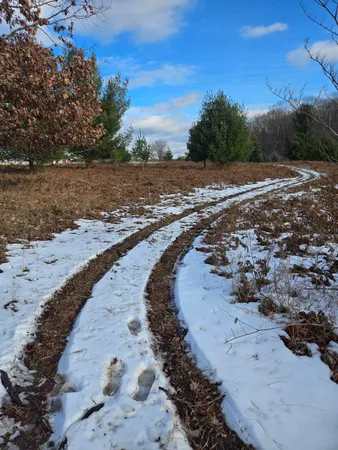 $3,000 | Lot 895 Lake Miramichi Drive, Evart, MI 49631