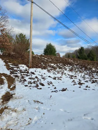 $3,000 | Lot 895 Lake Miramichi Drive, Evart, MI 49631