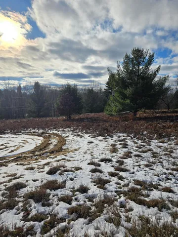 $3,000 | Lot 895 Lake Miramichi Drive, Evart, MI 49631