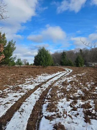 $3,000 | Lot 895 Lake Miramichi Drive, Evart, MI 49631