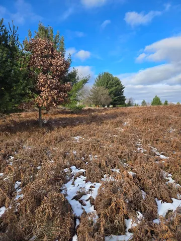 $3,000 | Lot 895 Lake Miramichi Drive, Evart, MI 49631