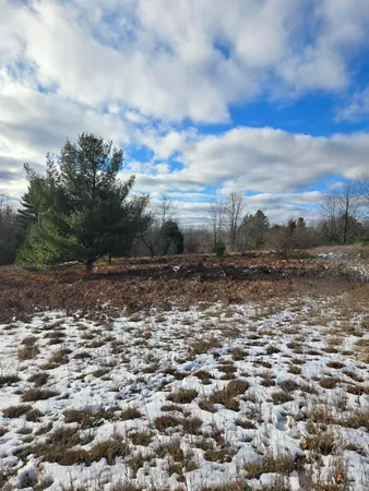 $3,000 | Lot 895 Lake Miramichi Drive, Evart, MI 49631