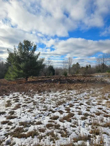$3,000 | Lot 895 Lake Miramichi Drive, Evart, MI 49631