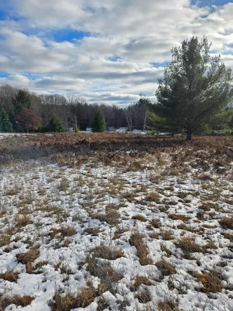 $3,000 | Lot 895 Lake Miramichi Drive, Evart, MI 49631