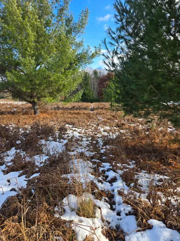 $3,000 | Lot 895 Lake Miramichi Drive, Evart, MI 49631
