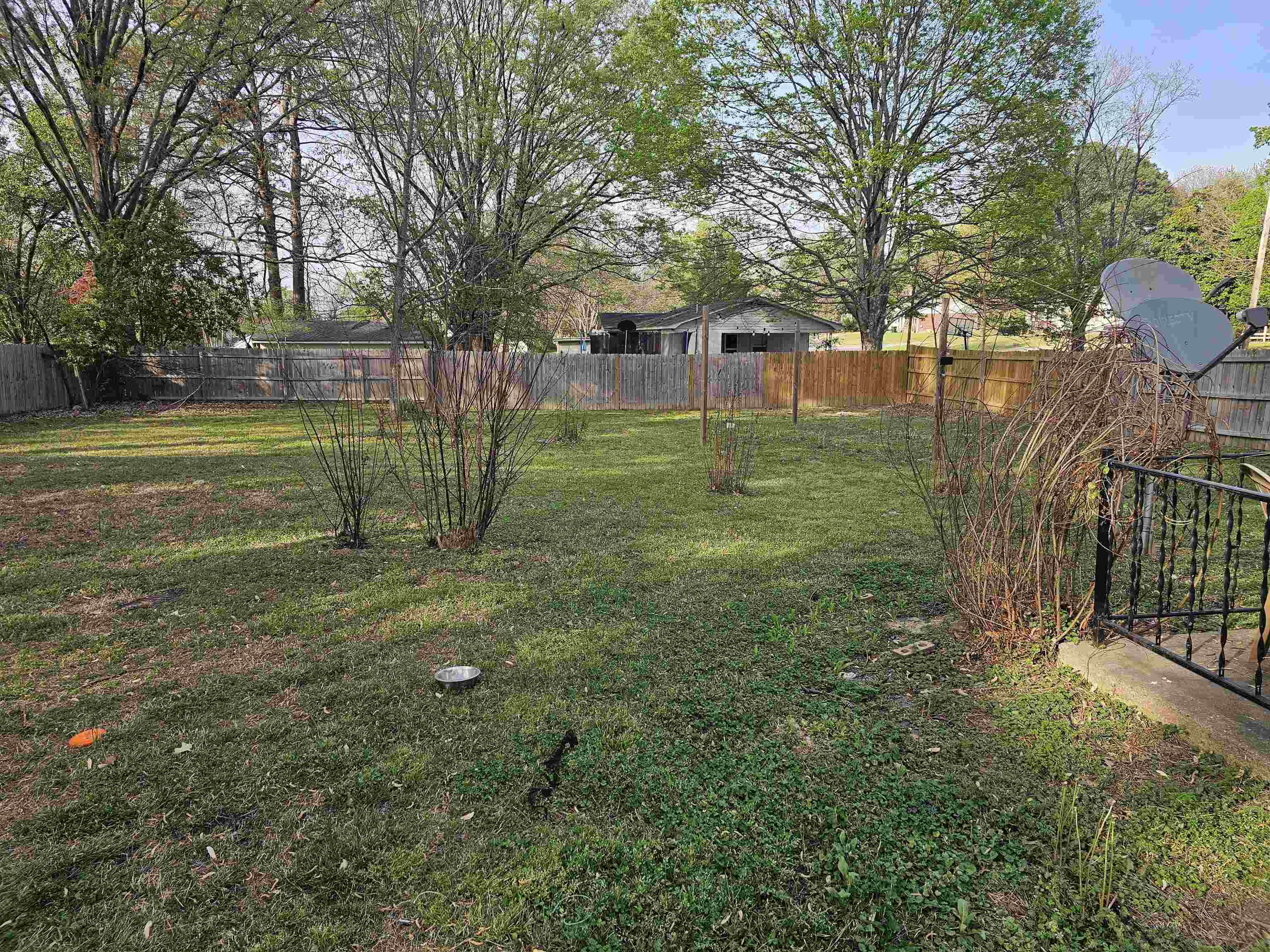 488 Perkins Street Ripley, TN 38063 - Photo 23 of 23 a view of a park with large trees