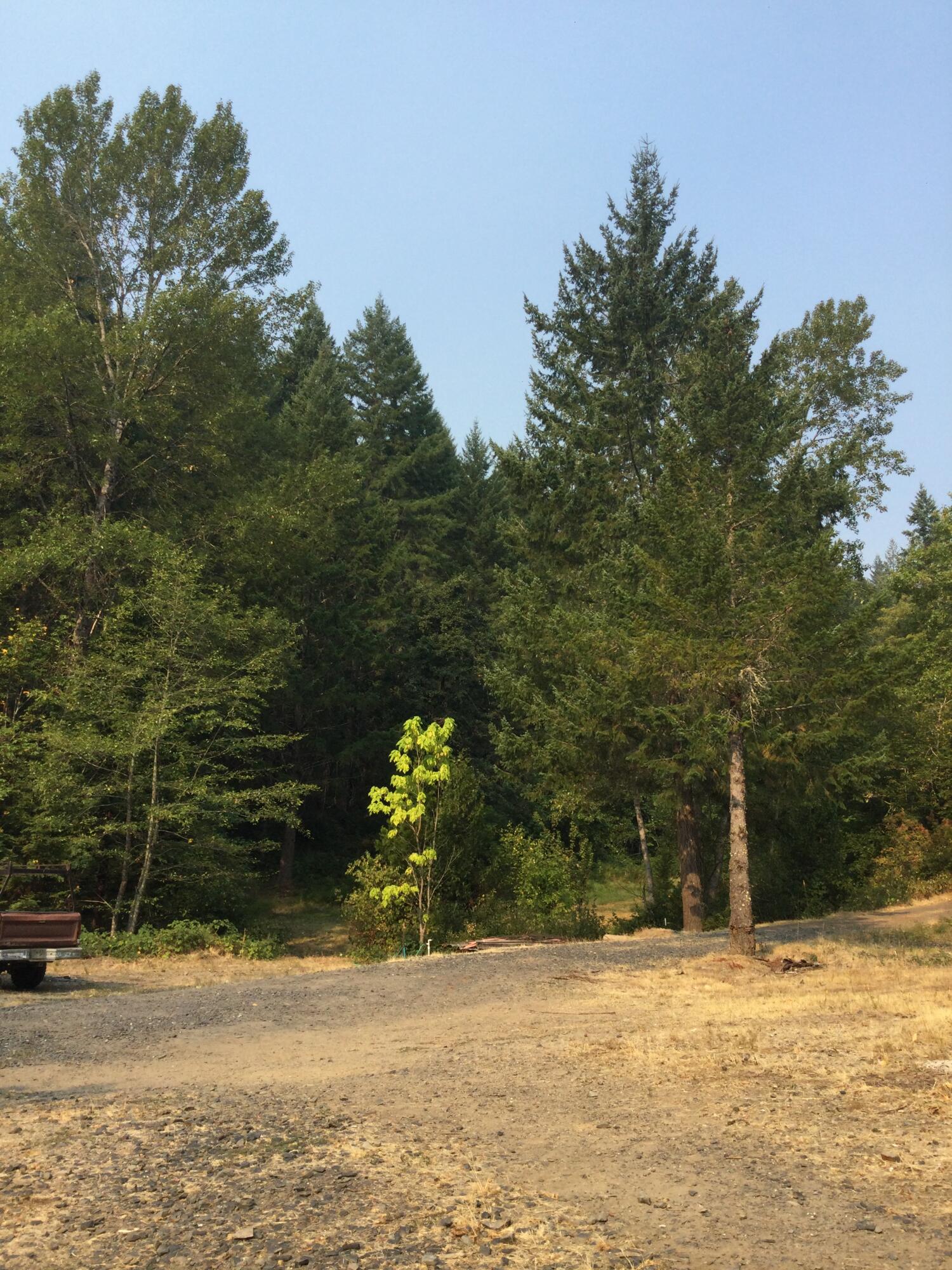 1450 Round Prairie Road Wilderville, OR 97543 - Photo 13 of 47 13 New