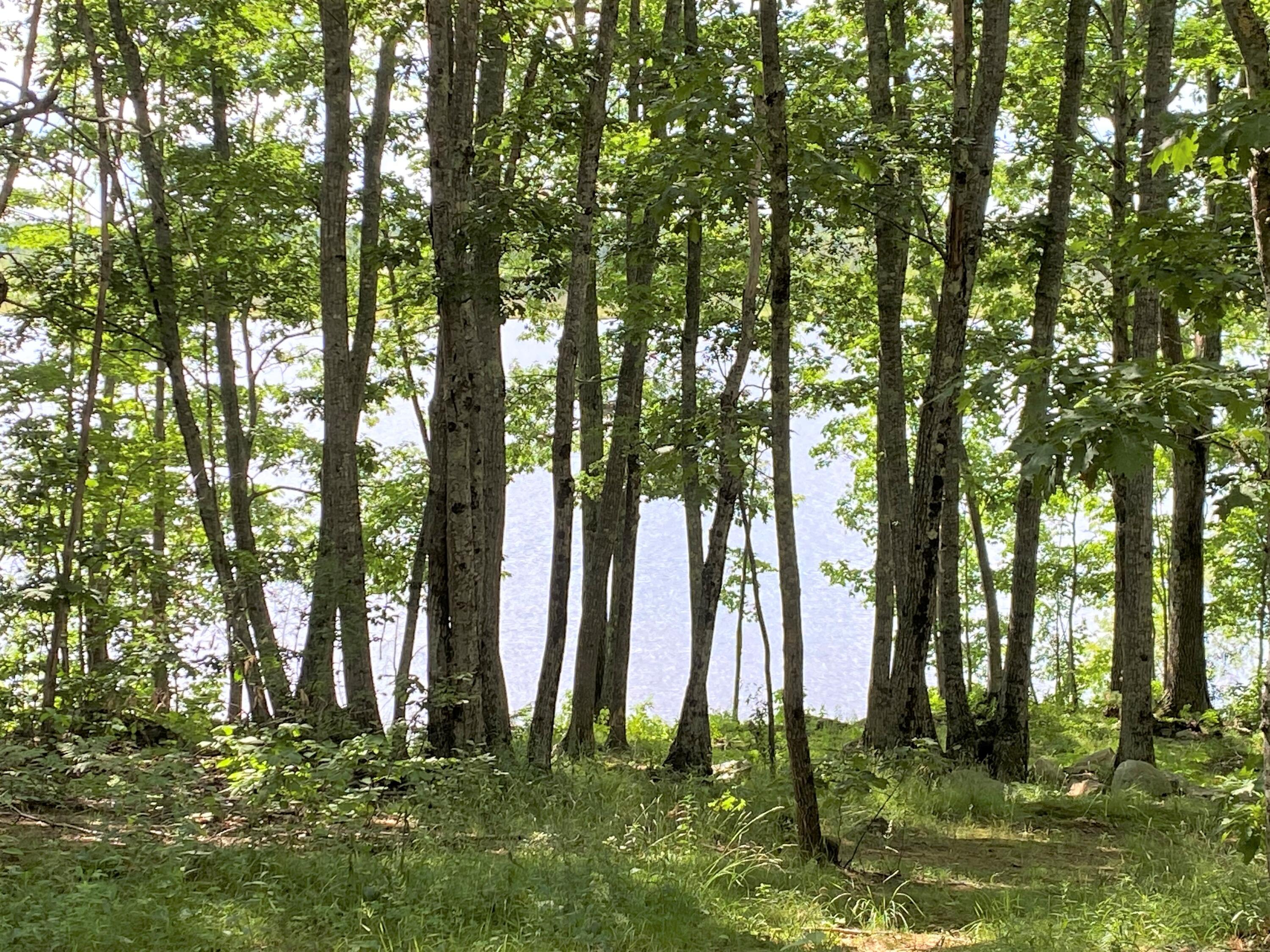 27 Cross Road Morrill, ME 04952 - Photo 47 of 54 Trails to waterfront