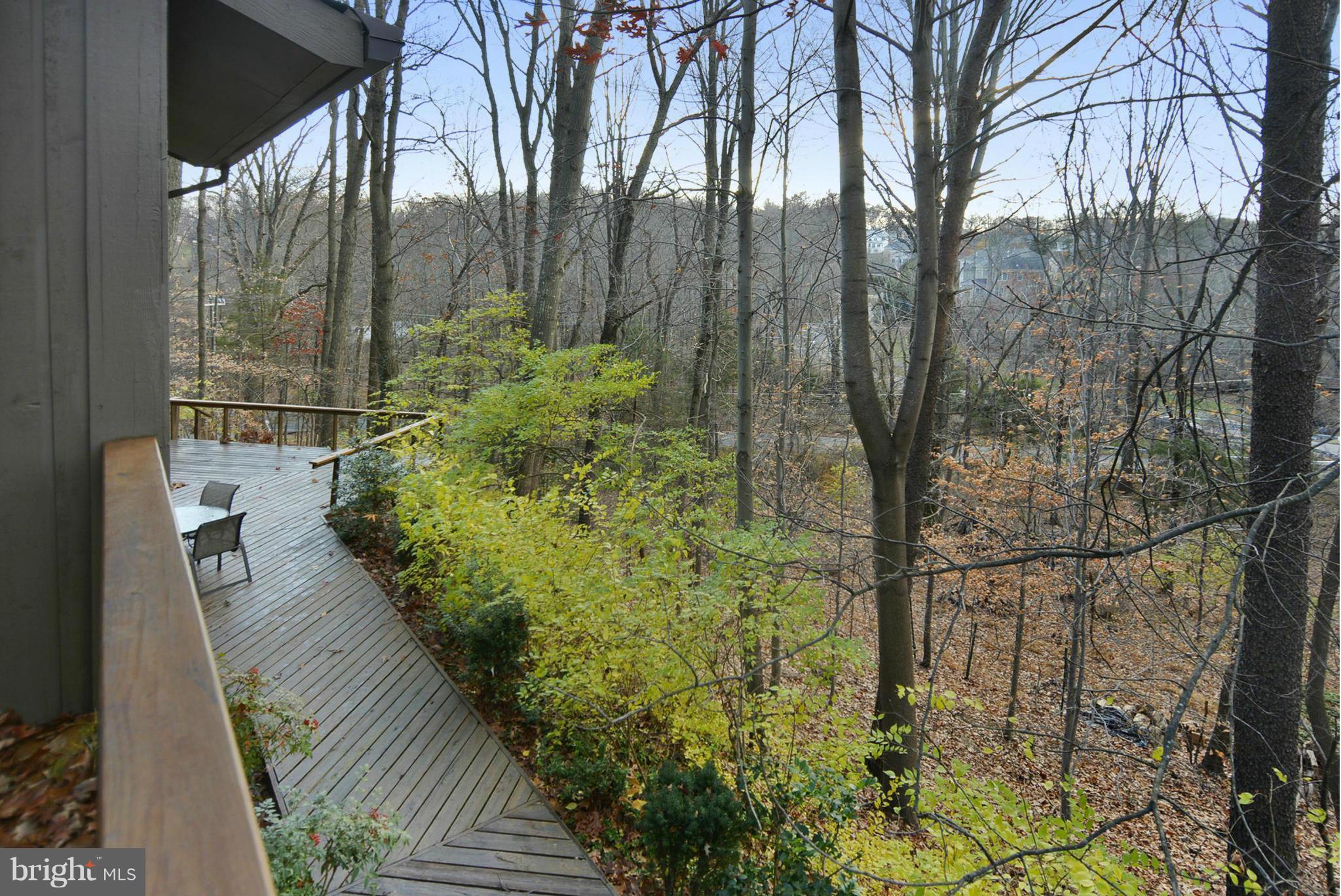 11256 Oakton Road Oakton, VA 22124 - Photo 22 of 29 a backyard of a house with lots of green space