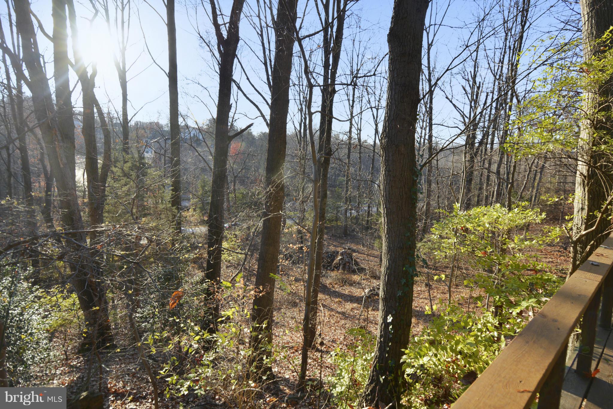 11256 Oakton Road Oakton, VA 22124 - Photo 23 of 29 a view of forest