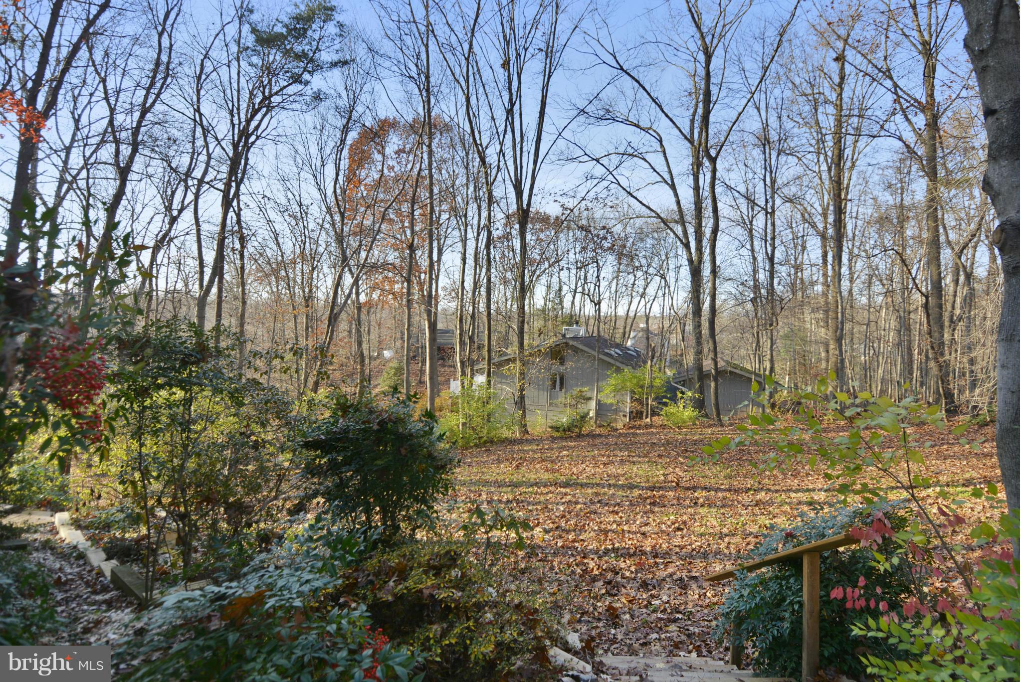 11256 Oakton Road Oakton, VA 22124 - Photo 26 of 29 a view of a yard with plants and trees