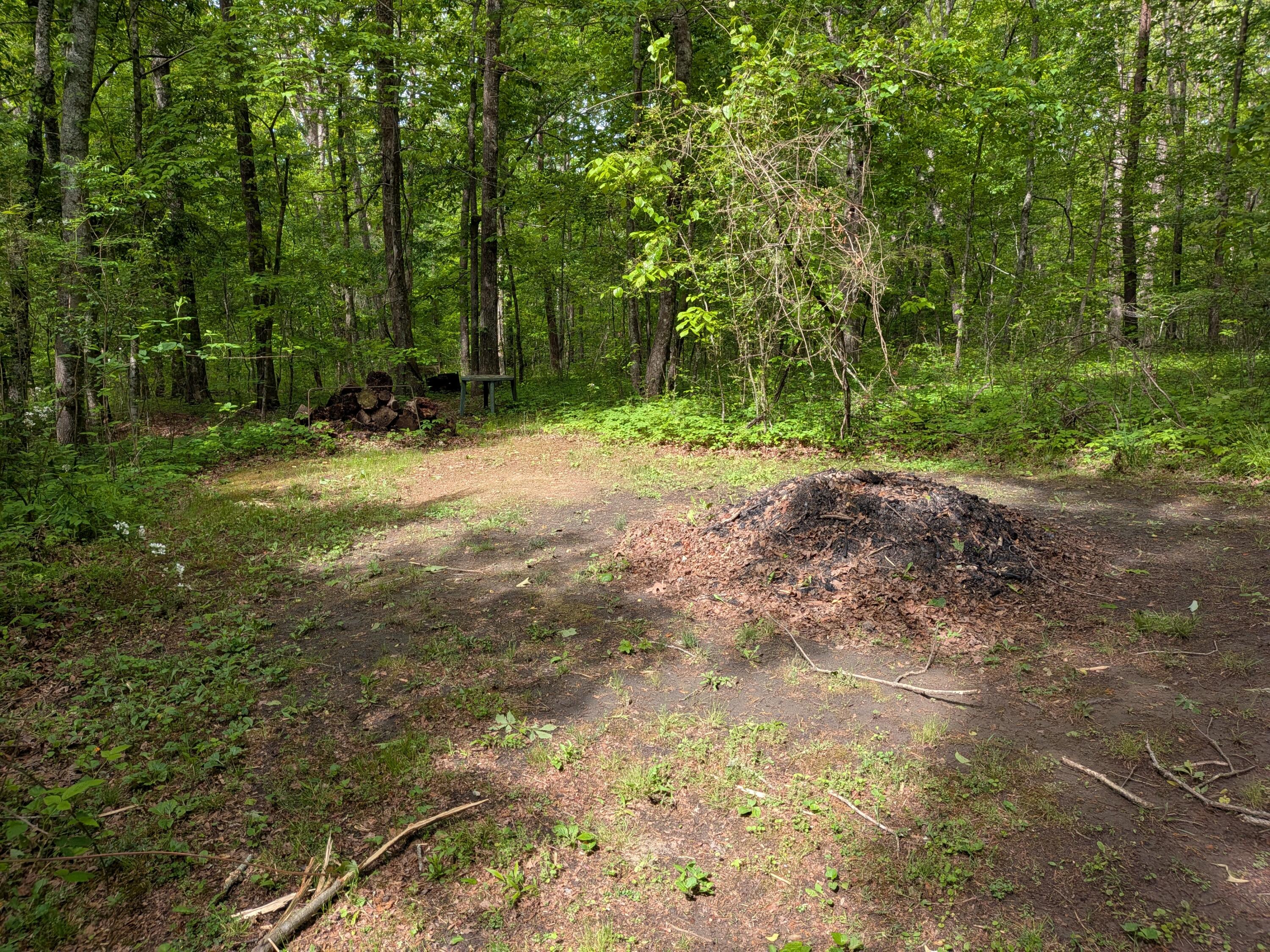 1061 Cranfill Road Dayton, TN 37321 - Photo 58 of 74 PXL_20260501_150050684