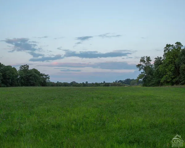 a view of a big yard with a large tree