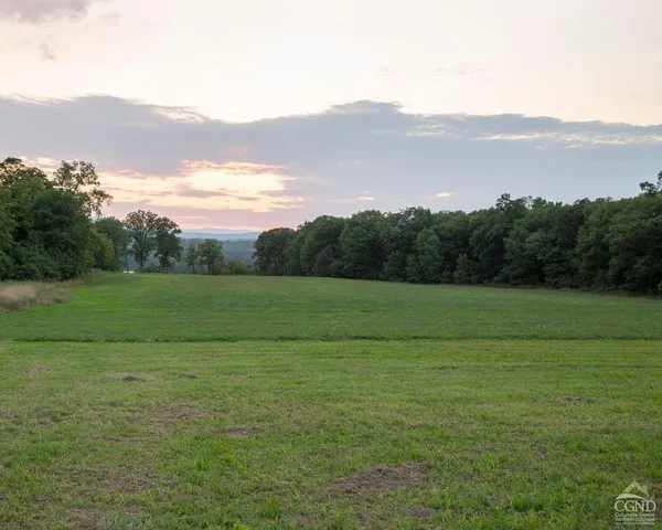 a view of a field with an ocean