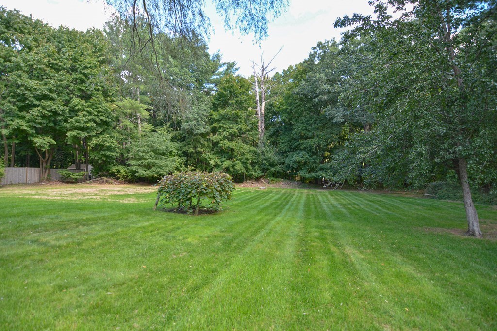 174 Spring Street Hanover, MA 02339 - Photo 36 of 41 Gallery Image 36