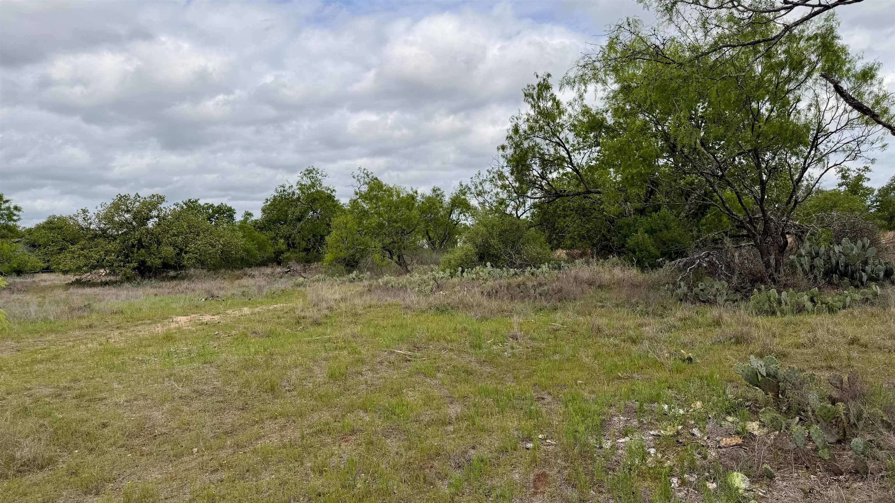 Lot 105 Ridgemont Kingsland, TX 78639 - Photo 11 of 17