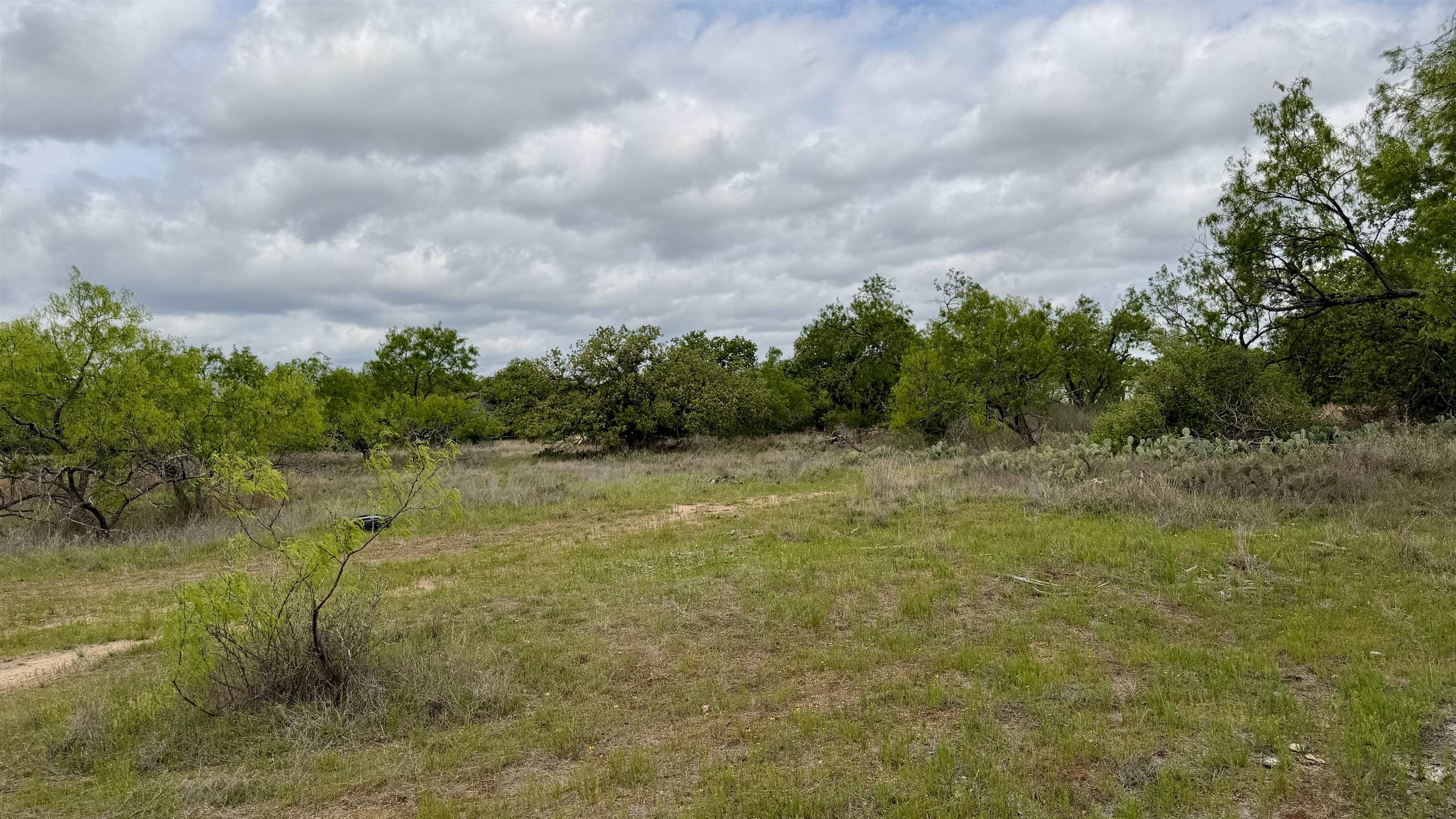 Lot 105 Ridgemont Kingsland, TX 78639 - Photo 12 of 17