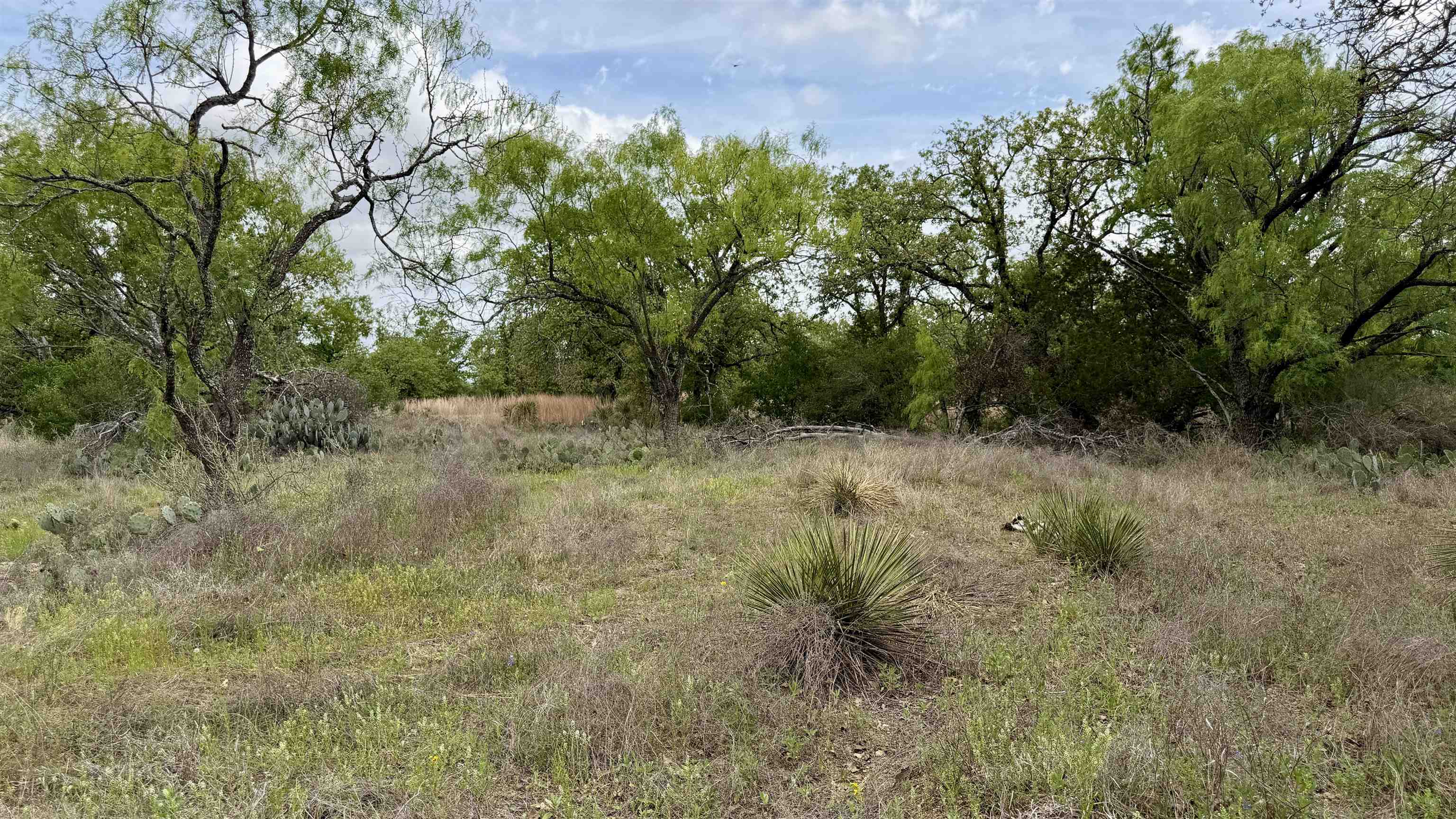 Lot 105 Ridgemont Kingsland, TX 78639 - Photo 14 of 17