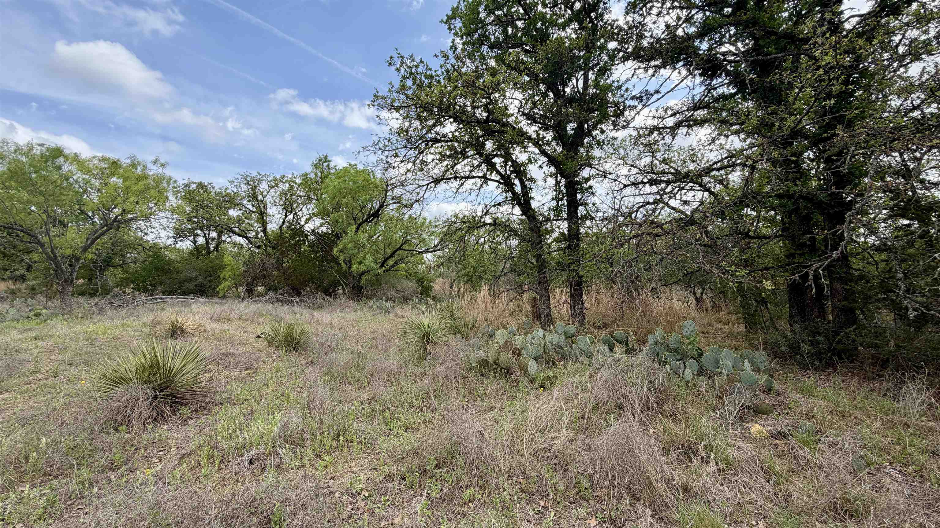 Lot 105 Ridgemont Kingsland, TX 78639 - Photo 15 of 17