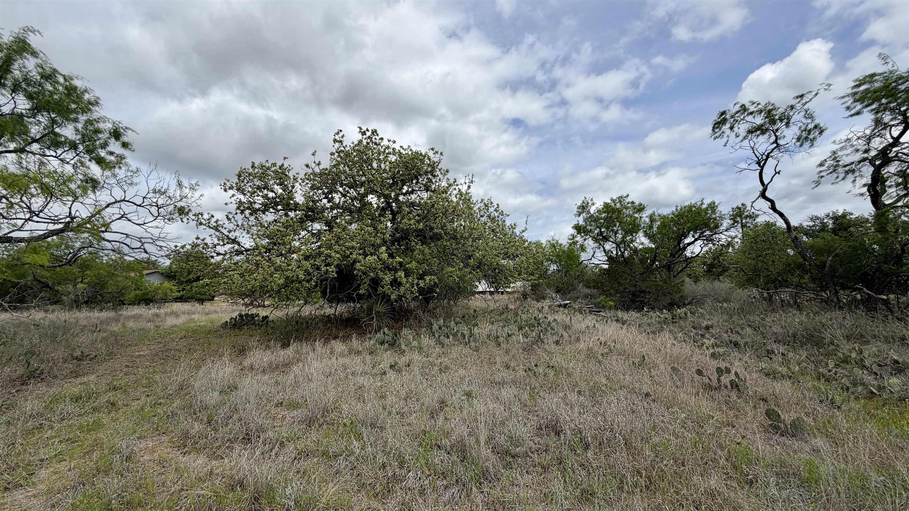 Lot 105 Ridgemont Kingsland, TX 78639 - Photo 16 of 17
