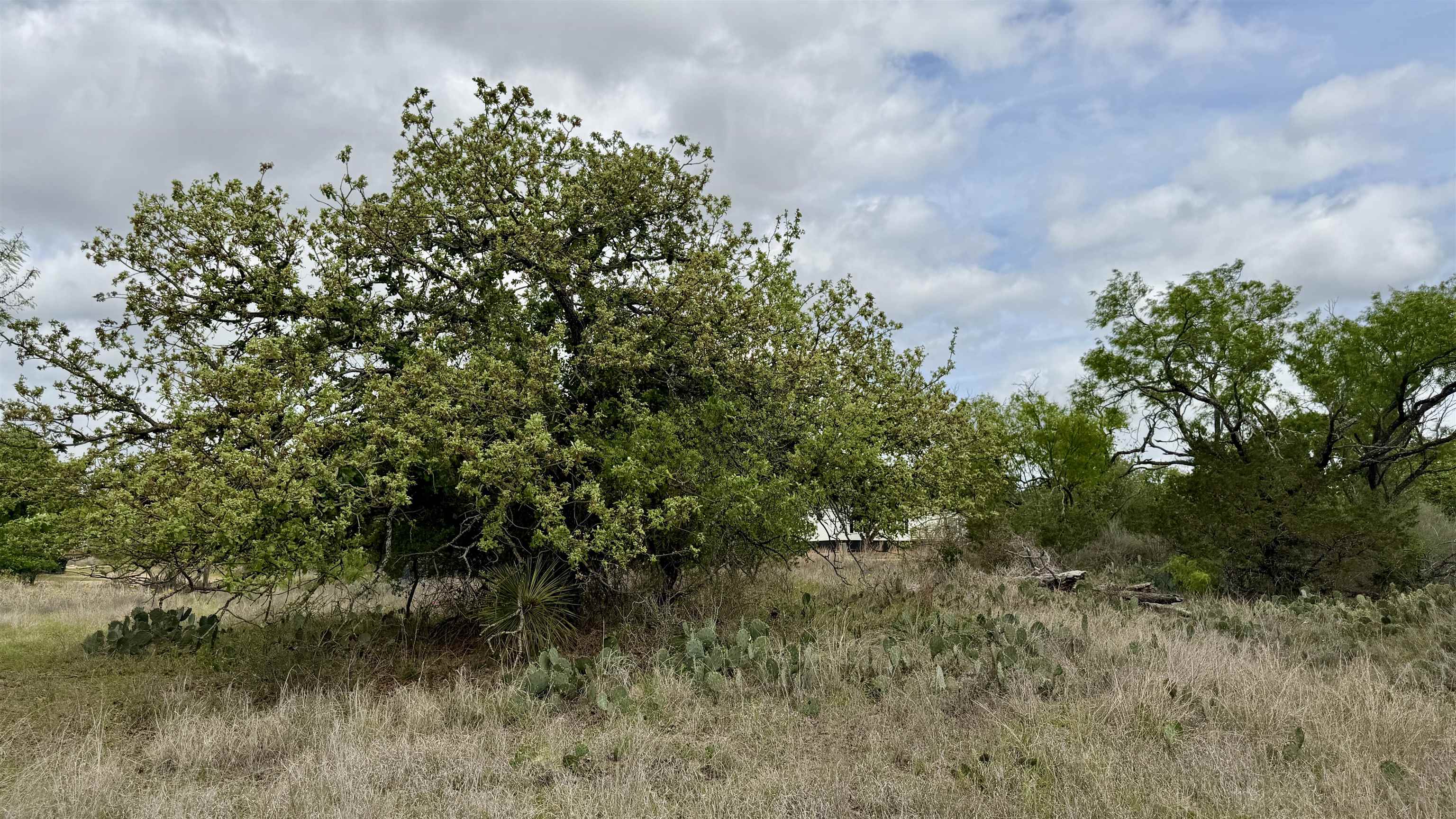 Lot 105 Ridgemont Kingsland, TX 78639 - Photo 17 of 17