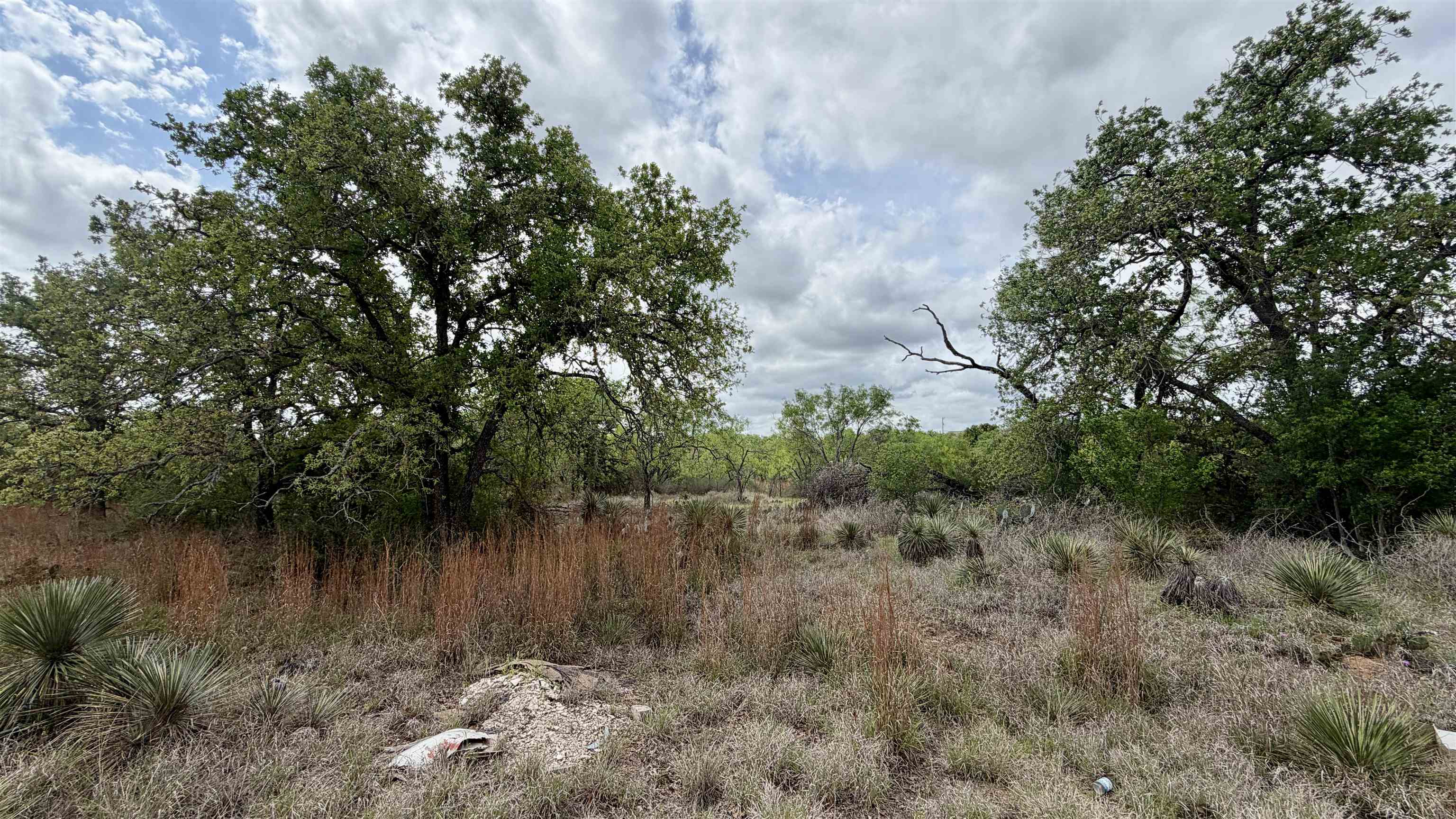 Lot 105 Ridgemont Kingsland, TX 78639 - Photo 2 of 17