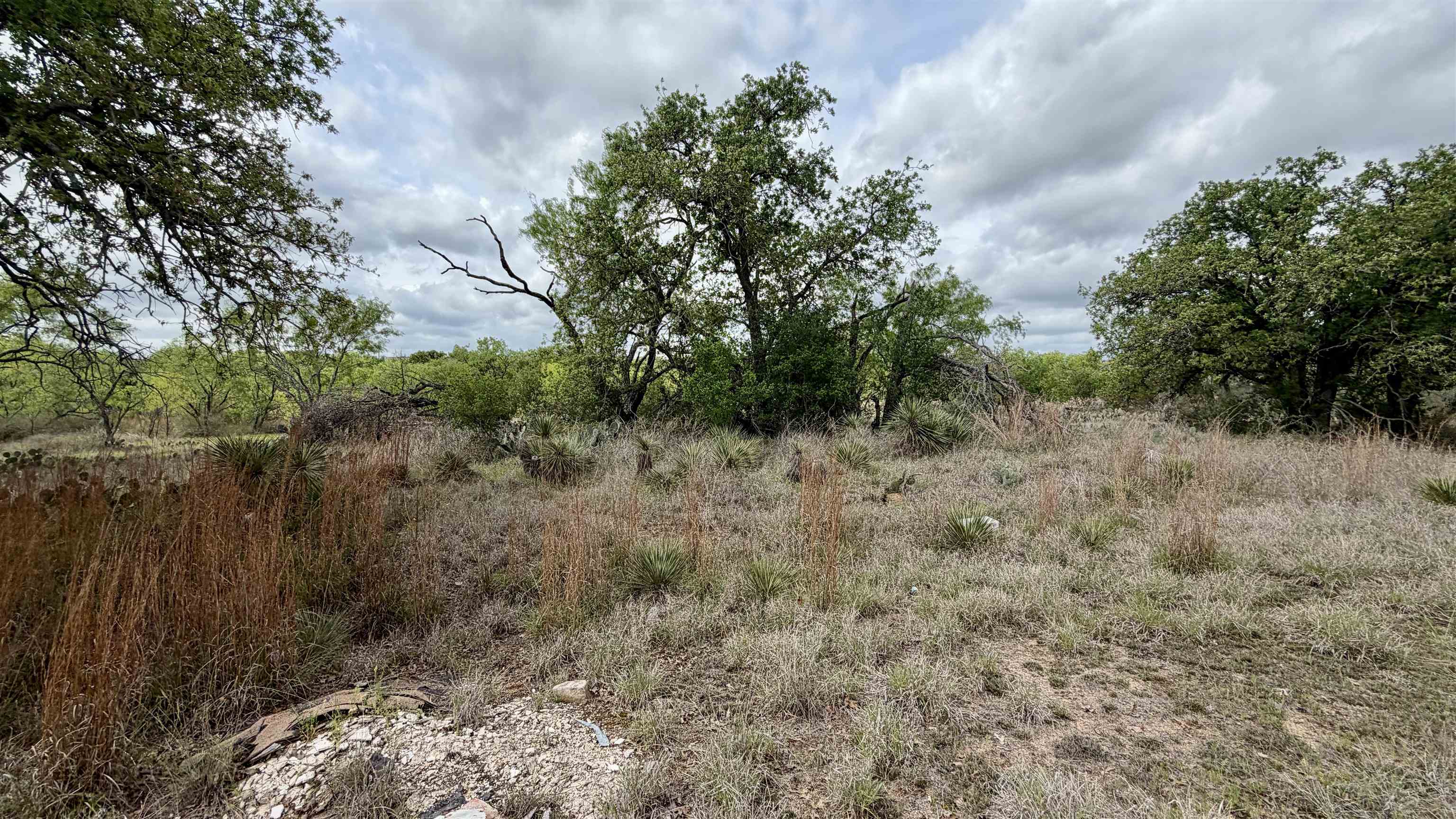 Lot 105 Ridgemont Kingsland, TX 78639 - Photo 3 of 17