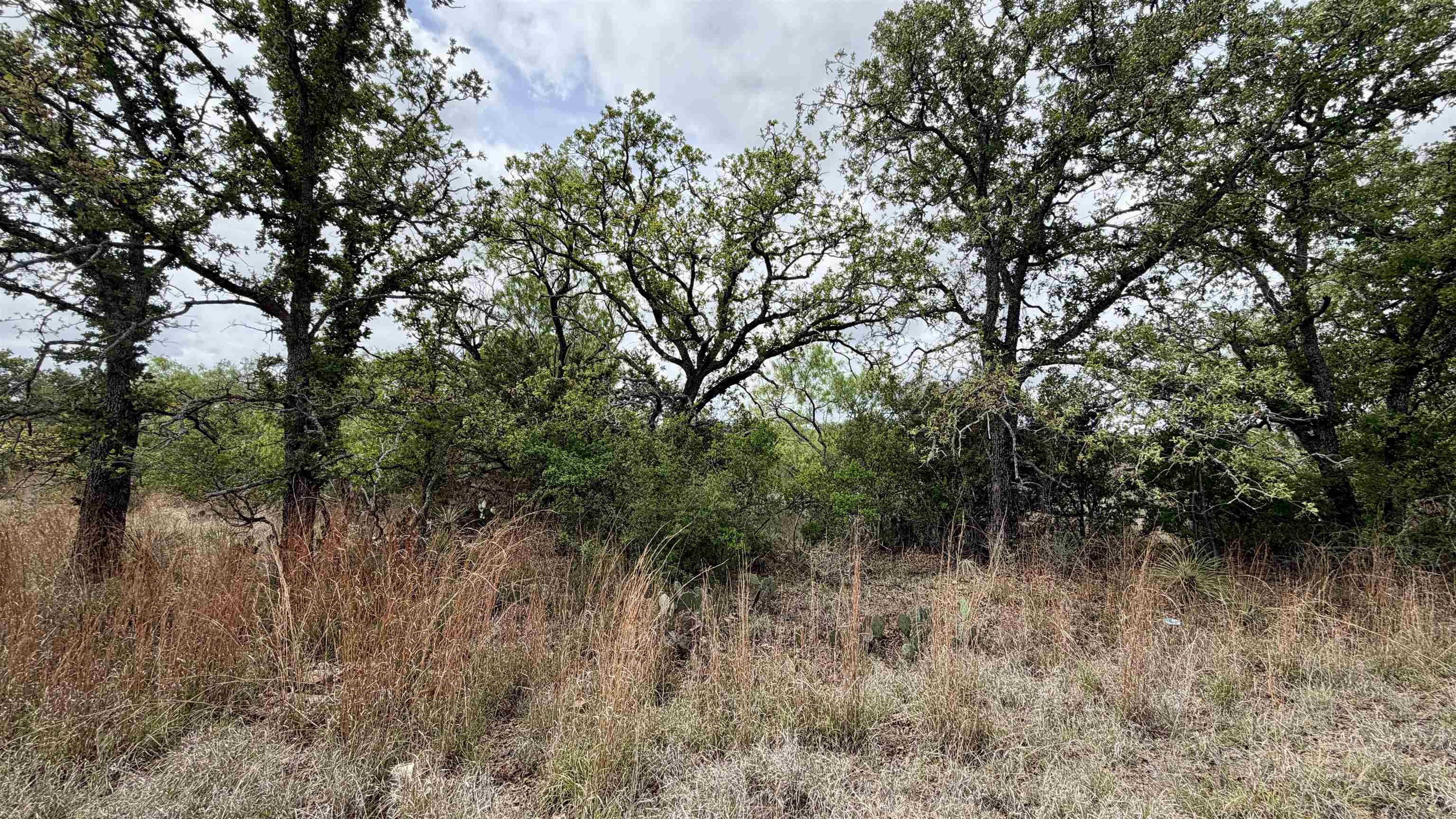 Lot 105 Ridgemont Kingsland, TX 78639 - Photo 4 of 17