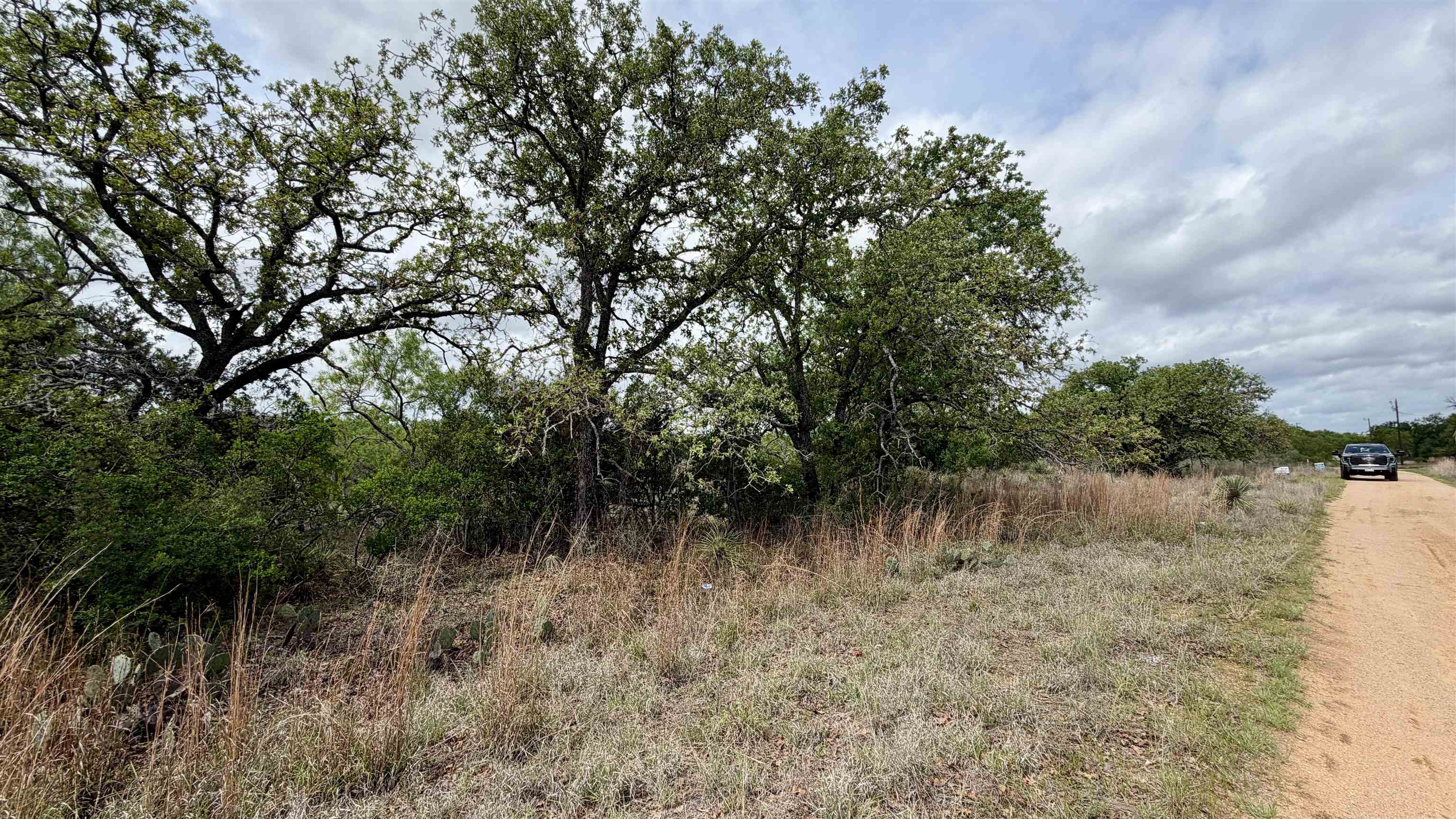 Lot 105 Ridgemont Kingsland, TX 78639 - Photo 5 of 17