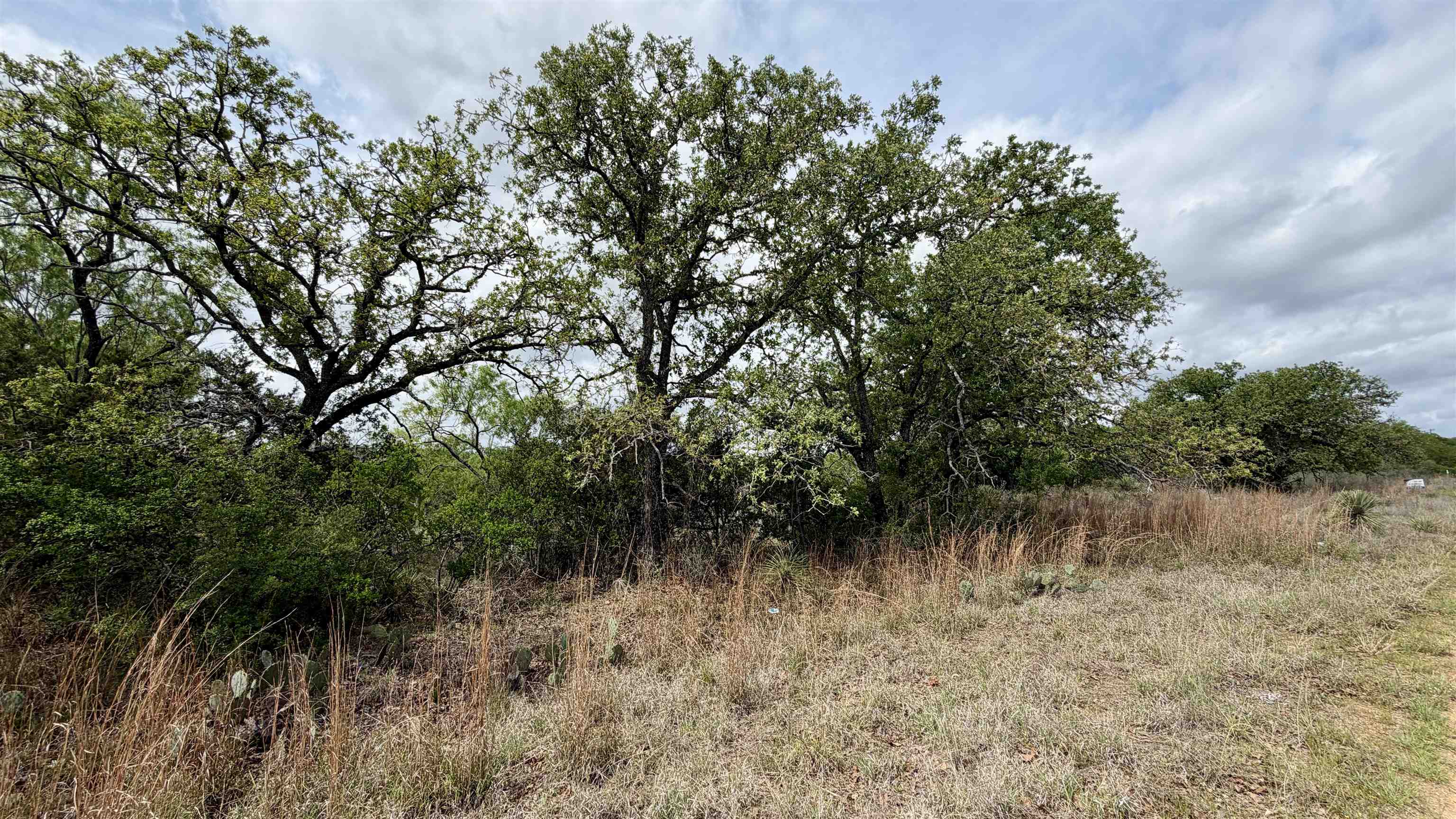 Lot 105 Ridgemont Kingsland, TX 78639 - Photo 6 of 17