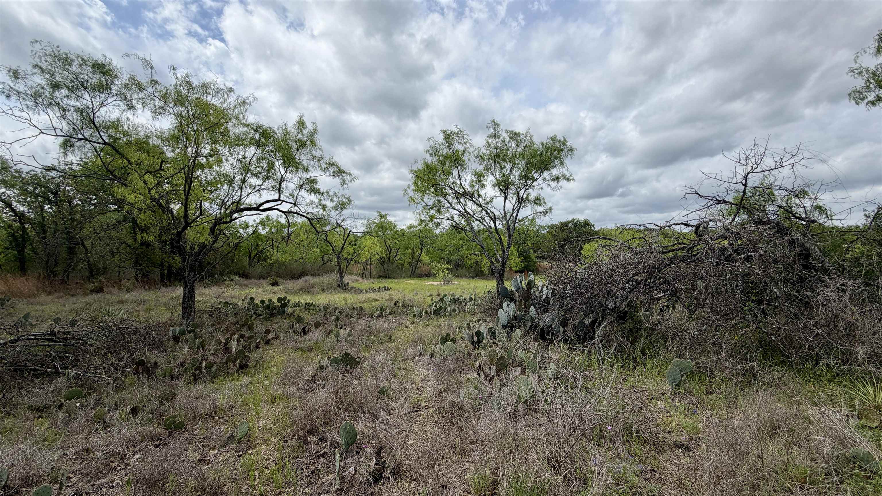 Lot 105 Ridgemont Kingsland, TX 78639 - Photo 7 of 17