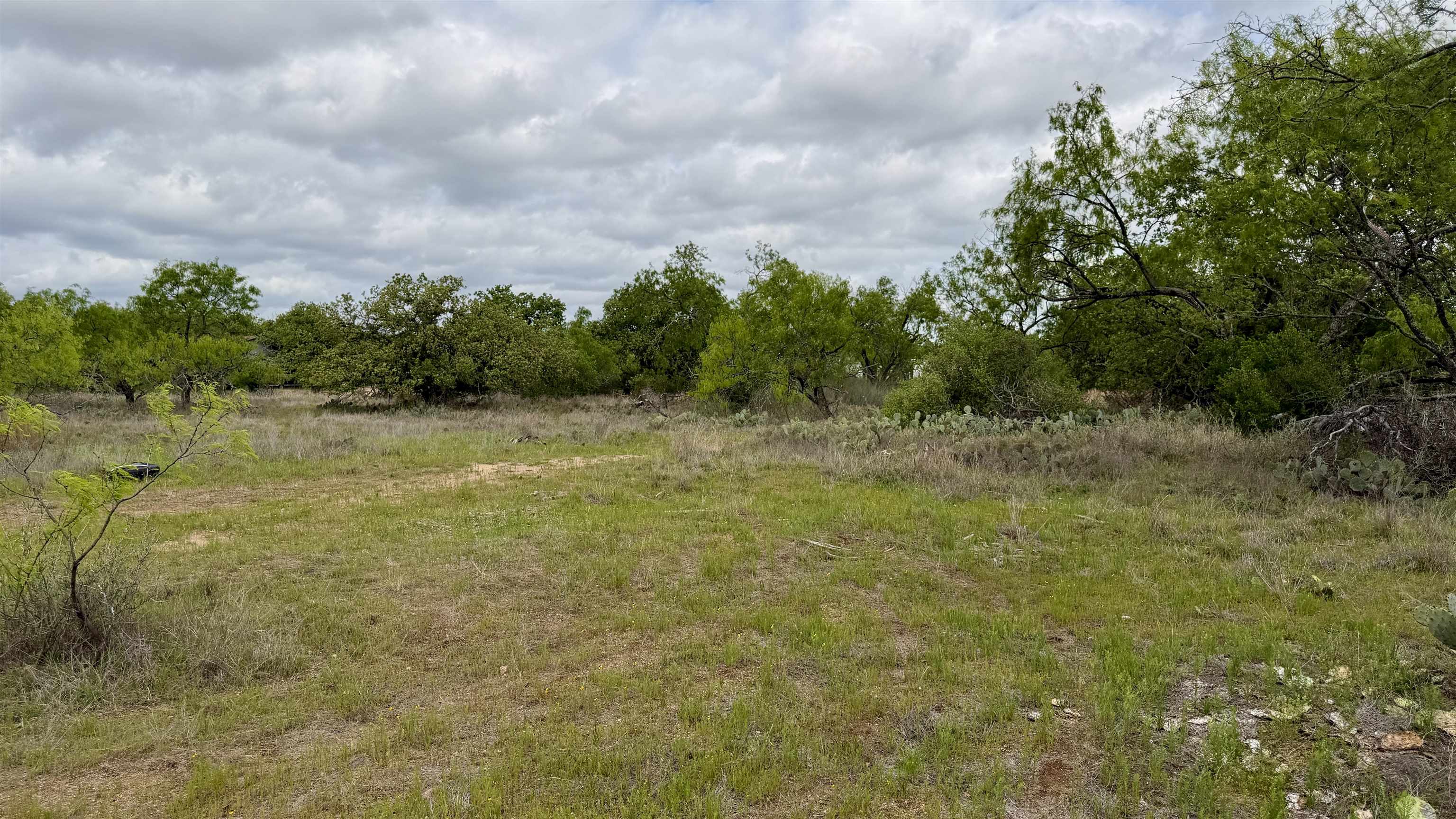 Lot 105 Ridgemont Kingsland, TX 78639 - Photo 8 of 17