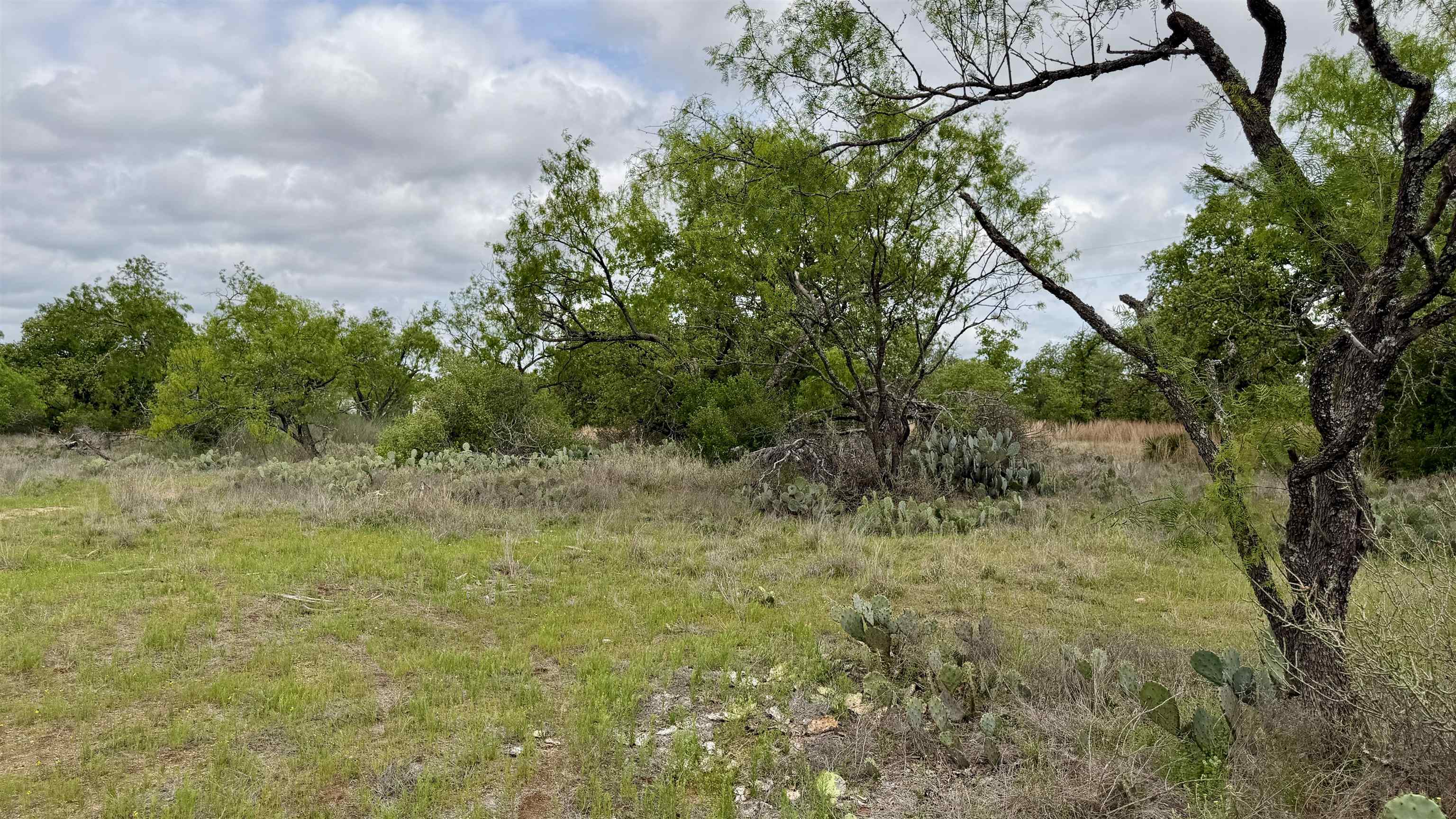 Lot 105 Ridgemont Kingsland, TX 78639 - Photo 9 of 17