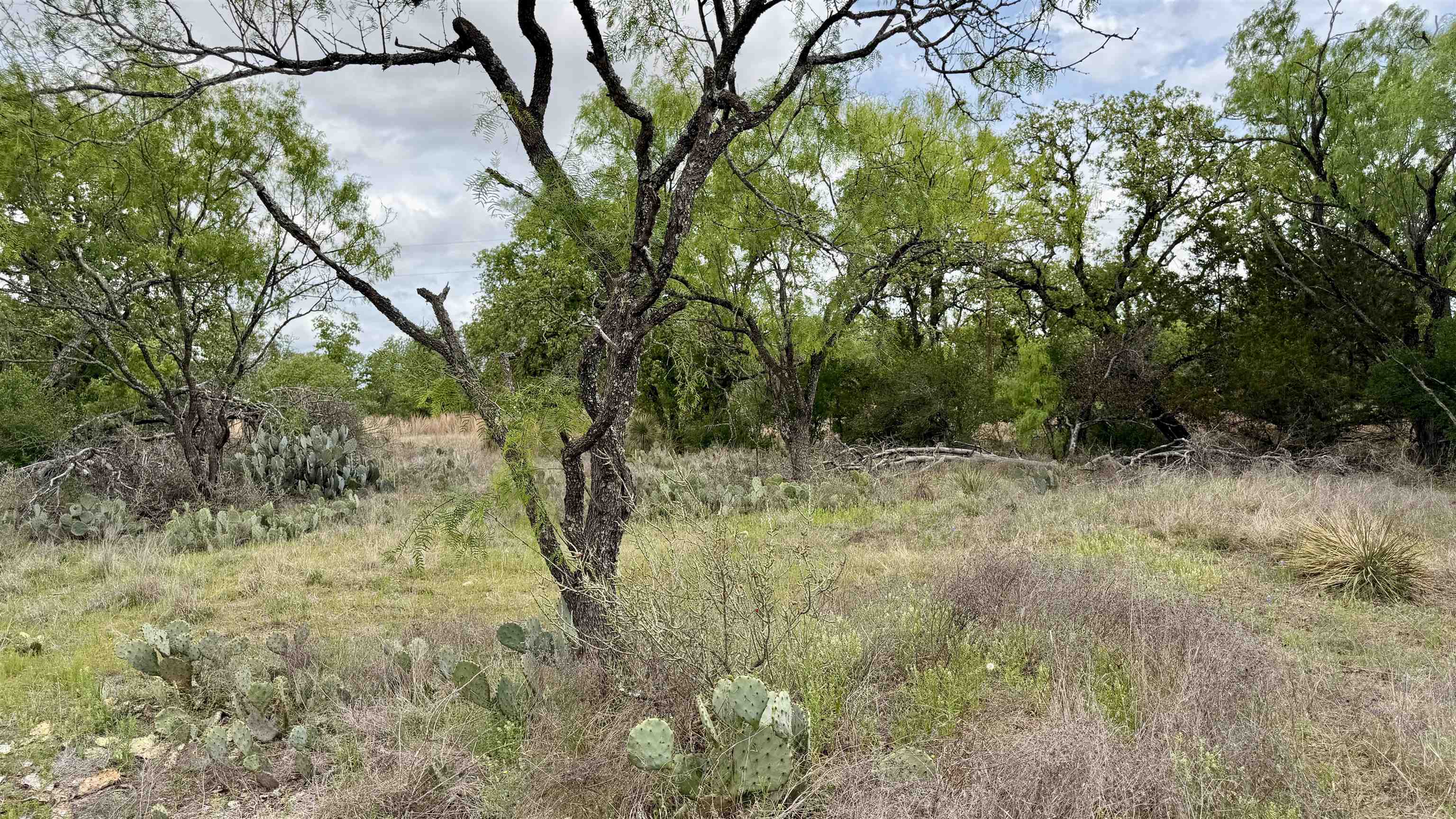 Lot 105 Ridgemont Kingsland, TX 78639 - Photo 10 of 17