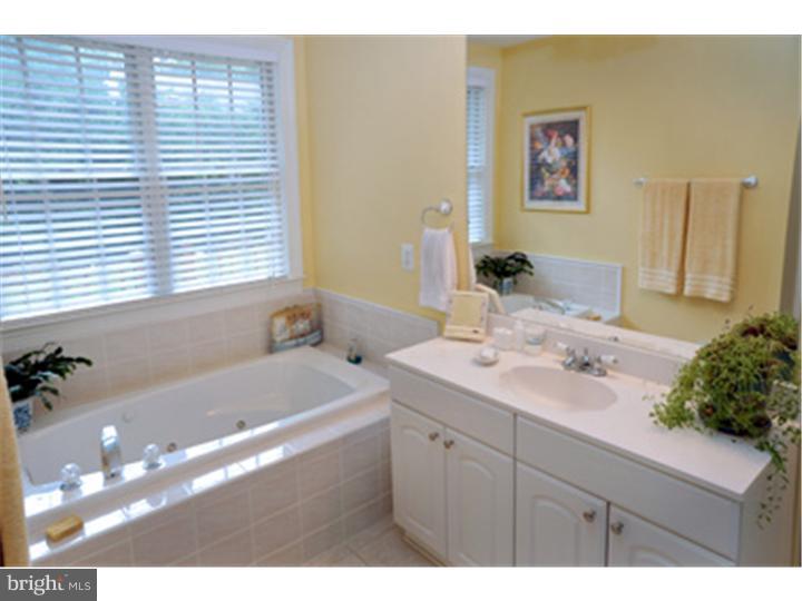 311 Dorset Road Devon, PA 19333 - Photo 19 of 21 Master Bathroom