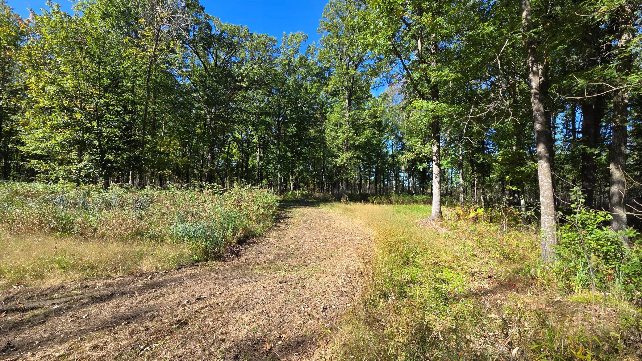 Xxx Xxx Herrick Road Frederic, WI 54837 - Photo 5 of 21