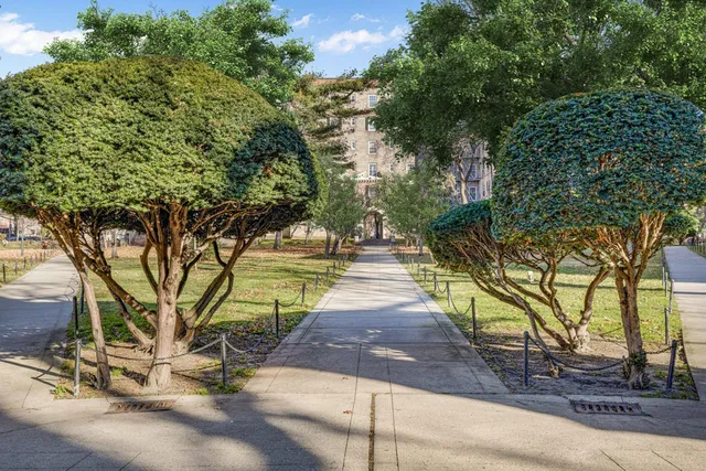 a view of a yard with plants and trees