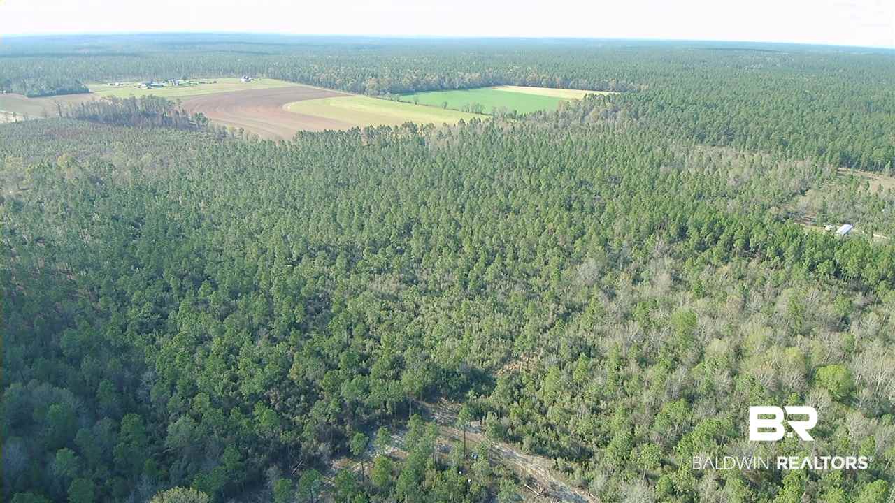 3 Red Cloud Road Baker, FL 32531 - Photo 6 of 14