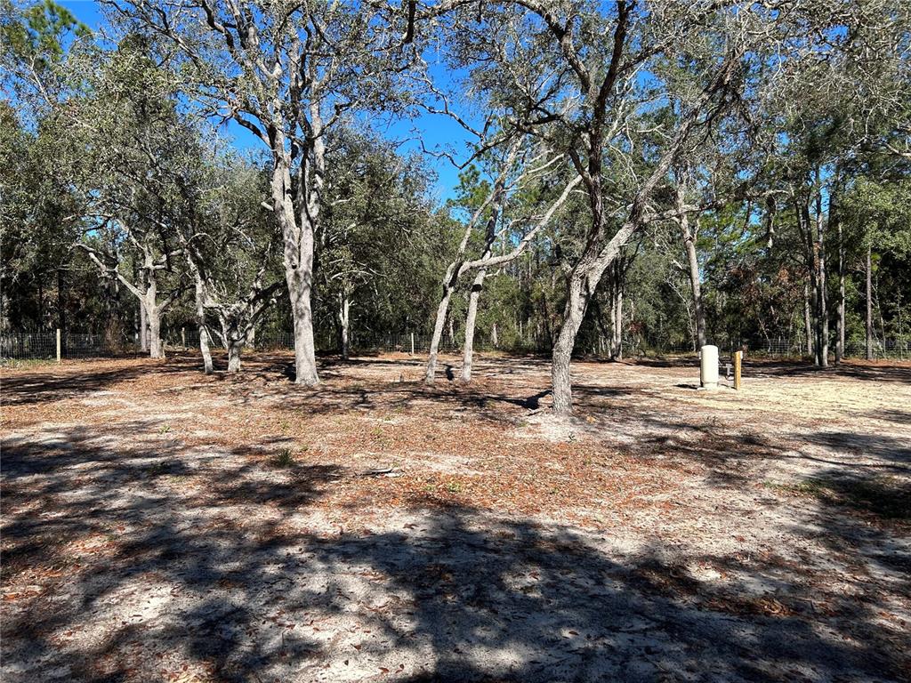 13751 Northeast 5 Street Williston, FL 32696 - Photo 4 of 17 a view of outdoor space with trees