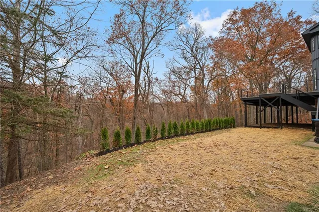 an aerial view of residential house with green space